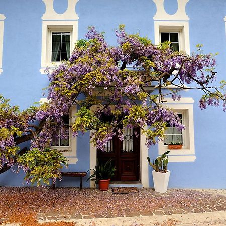Hotel The Blue House Tolmin Exteriér fotografie